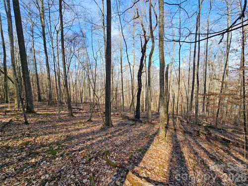 e-7-00 Red Wolf Ln, Mars Hill, NC, 28754 | Card Image