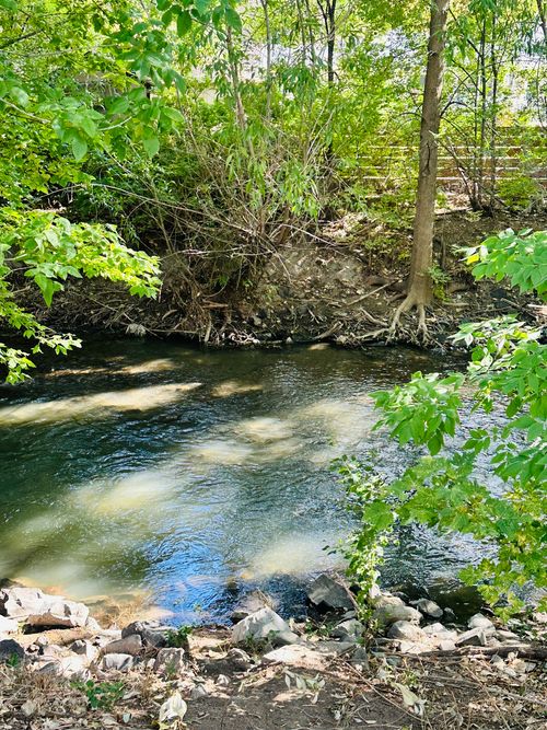 103-4752 S 700 E, Murray, UT, 84107-4172 | Card Image