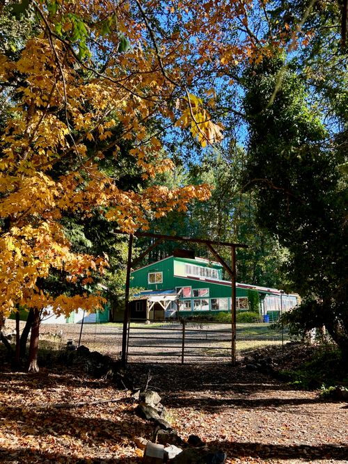 14242 Geppert Rd, Butte Falls, OR, 97522-0080 | Card Image