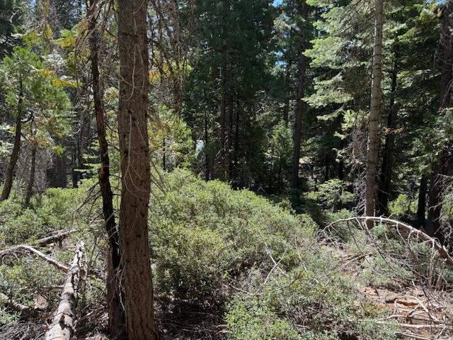 Land in Strawberry Valley 3