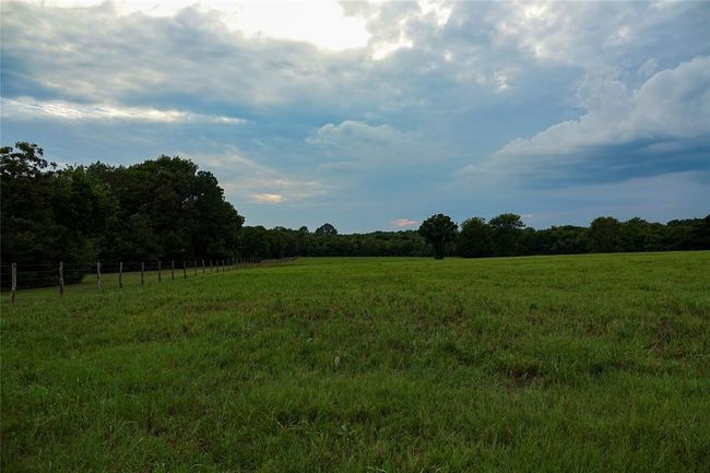 View of wooded area featuring a view of rural / pastoral area | Image 11