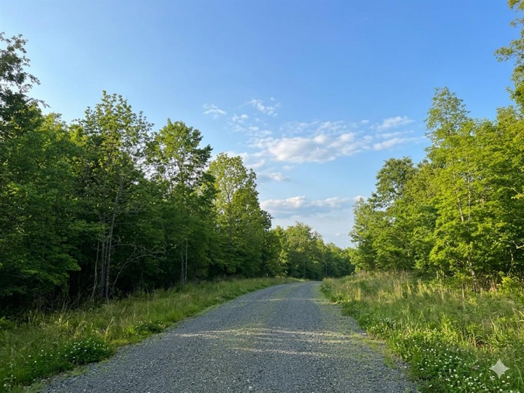 Land in Watson 4