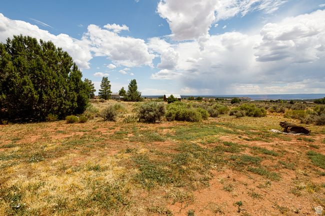 View of local wilderness featuring a rural view | Image 34