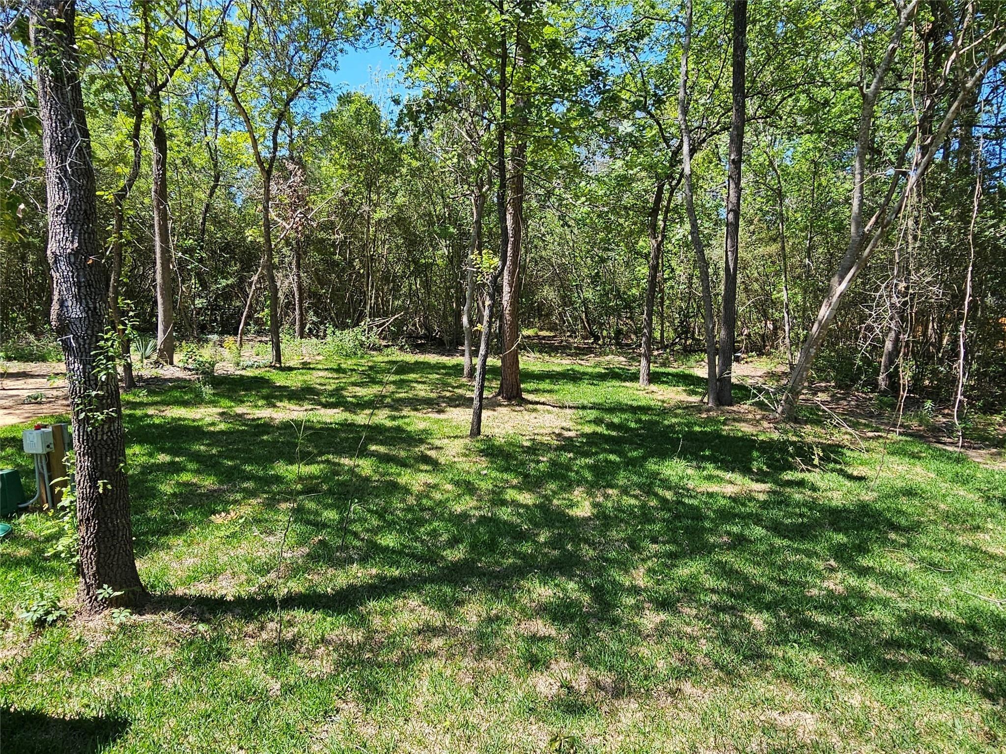 Land in Willis 5