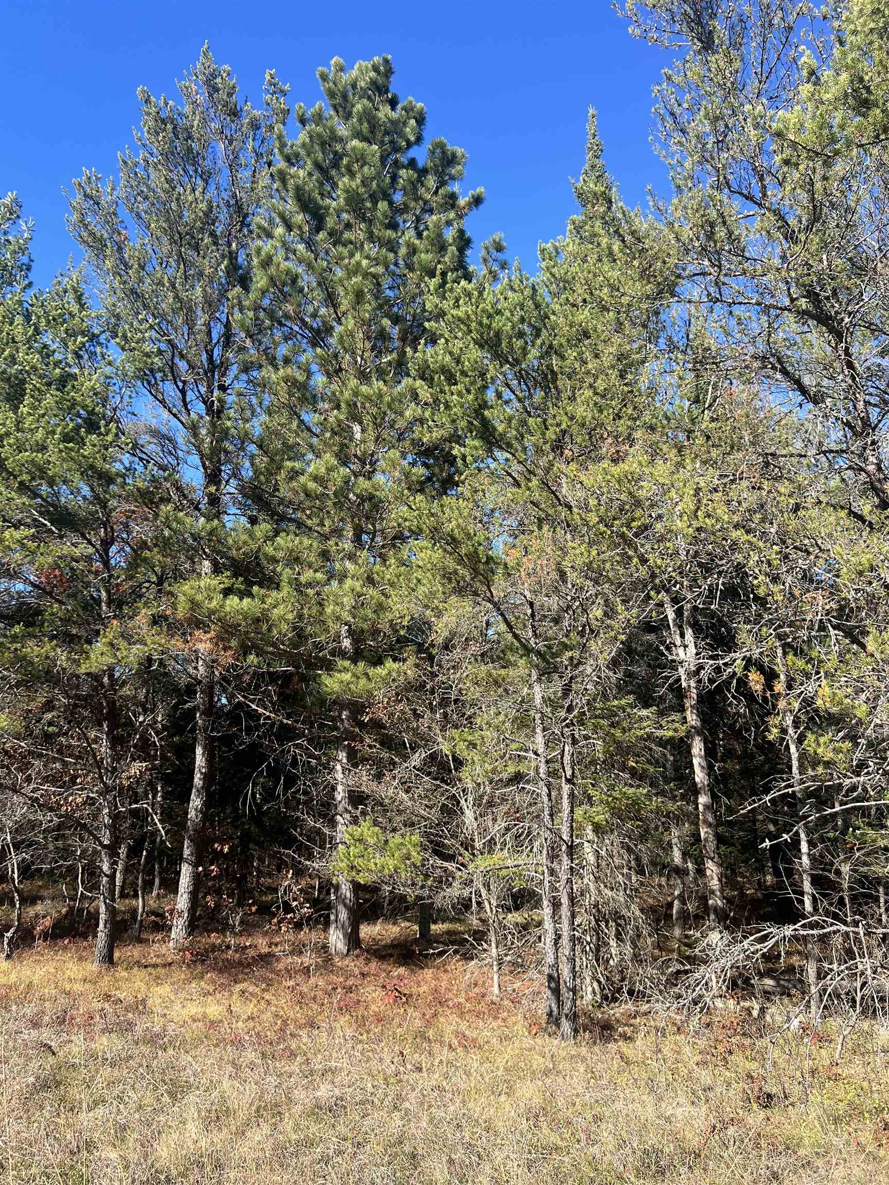 Land in Lovells Township 2