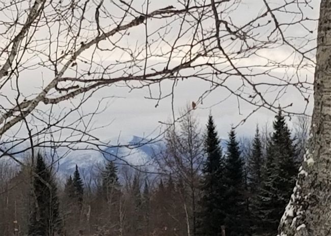 PARCEL-3 - 0 Us Route 2, Home with 0 bedrooms, 0 bathrooms and null parking in Lunenburg VT | Image 11