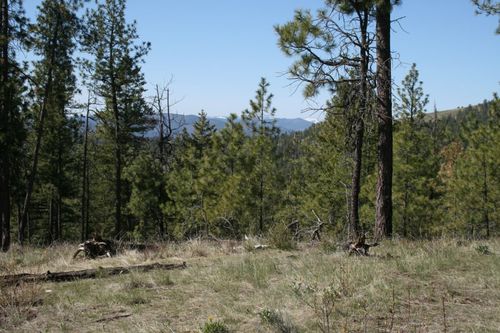 xx Coyote Canyon Rd, Fruitland, WA, 99129 | Card Image