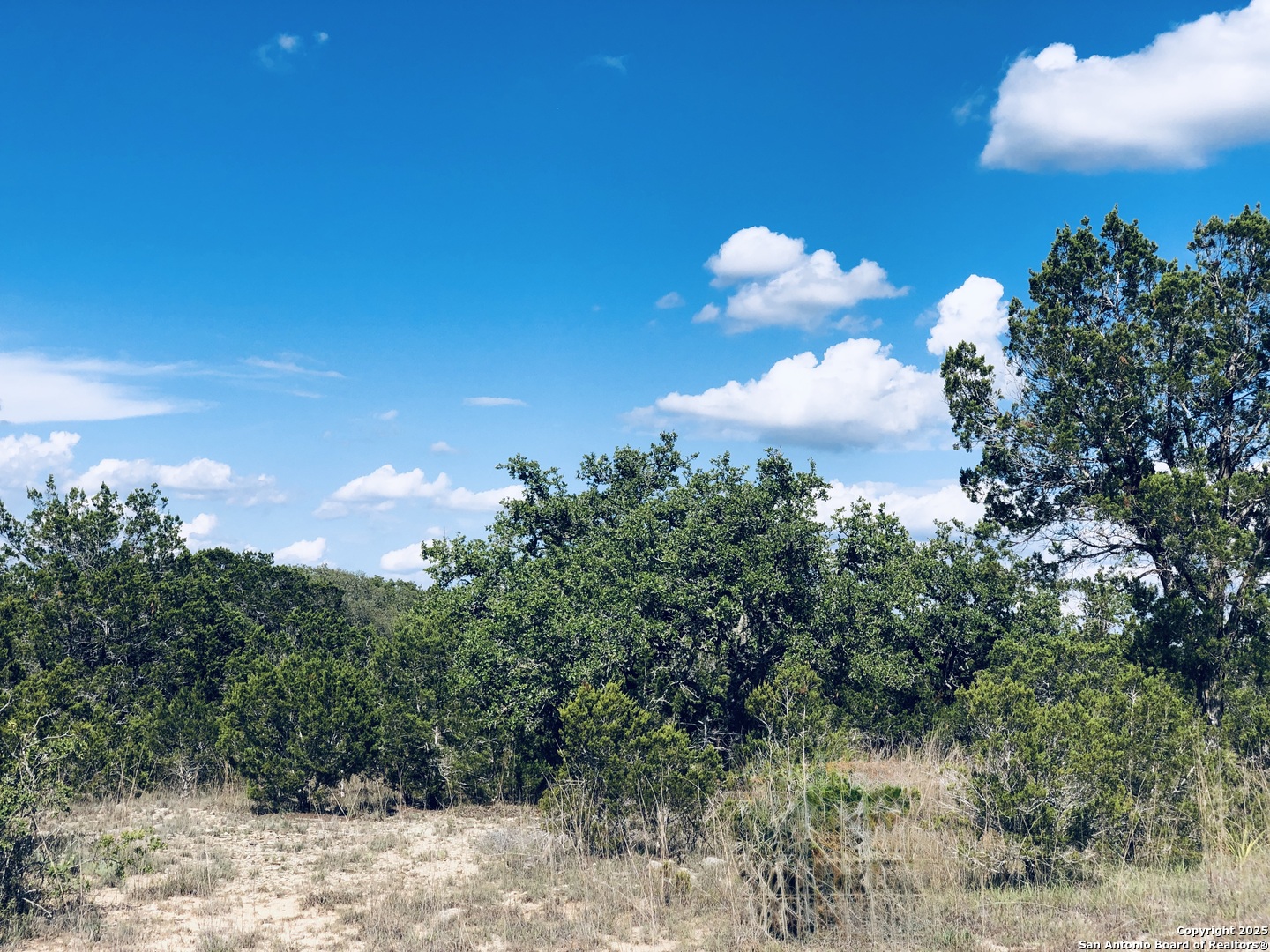 Land in Spring Branch