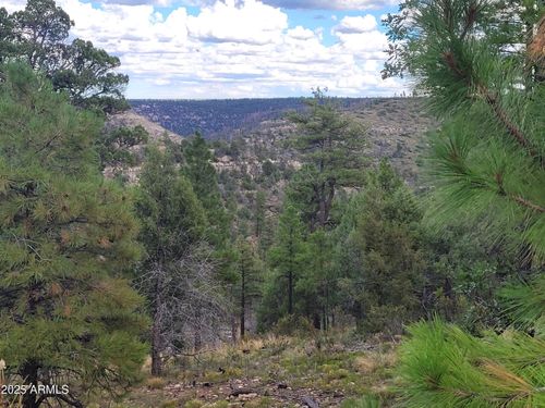 5-5089 Morning View Dr, Happy Jack, AZ, 86024-8286 | Card Image