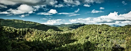 55 Laurel Rdg, Marshall, NC, 28753-0705 | Card Image