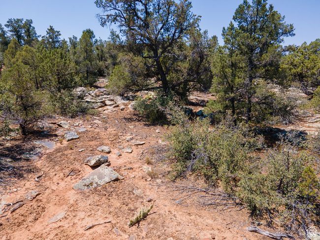 View of nature | Image 12