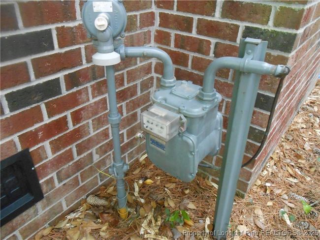 Natural Gas Meter | Image 47
