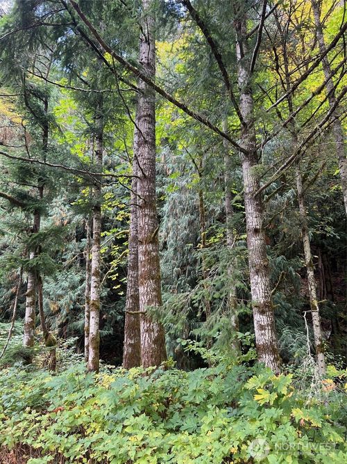 0 Us Highway 12, Randle, WA, 98377 | Card Image