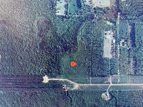 TBD Ne 125th Ave, Fort Mc Coy, FL, 32134 | Card Image