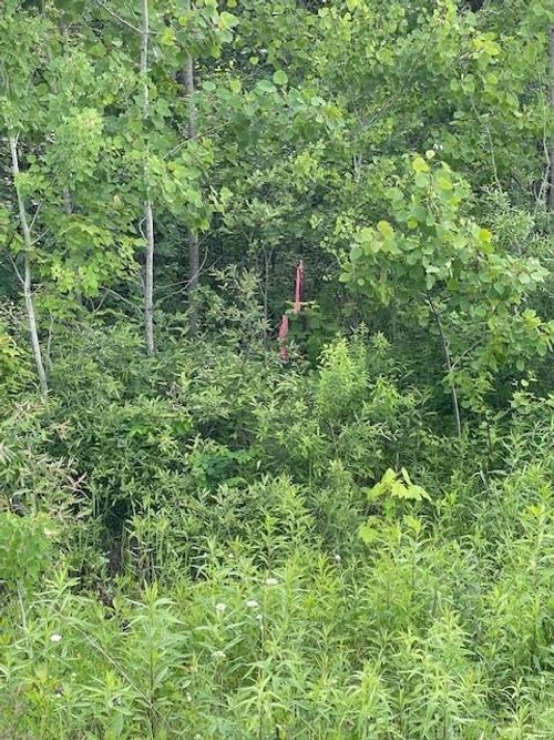 TBD Parcel I Fox Road, Hinckley, MN, 55037 | Card Image