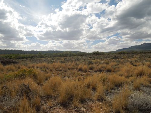 1-1 Stone Rd S, La Sal, UT, 84530 | Card Image