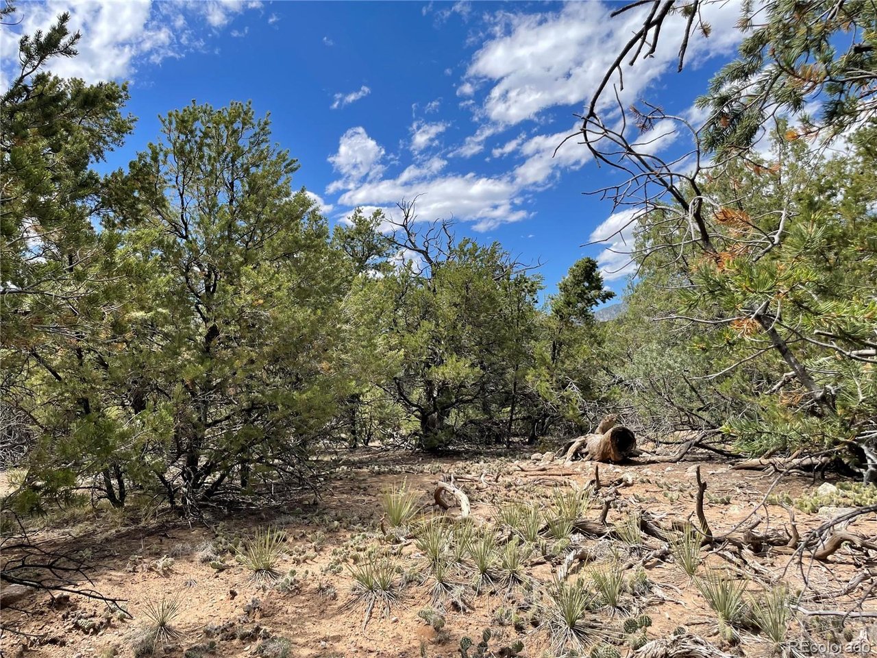 Land in Crestone 3