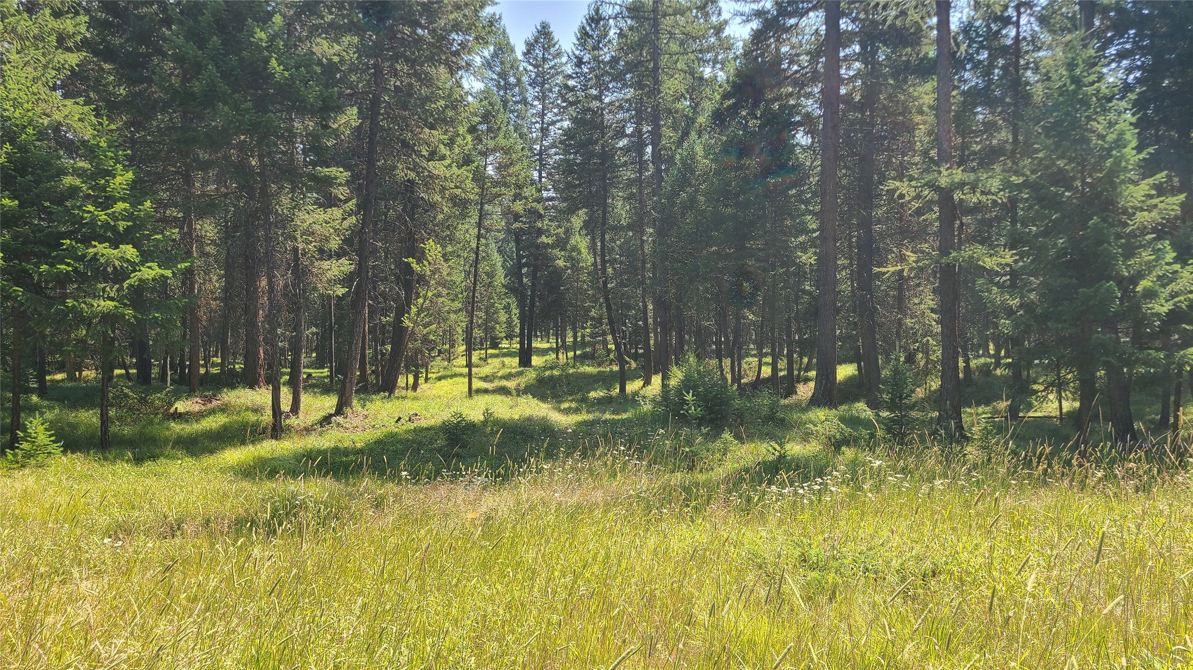 Land in Whitefish 5