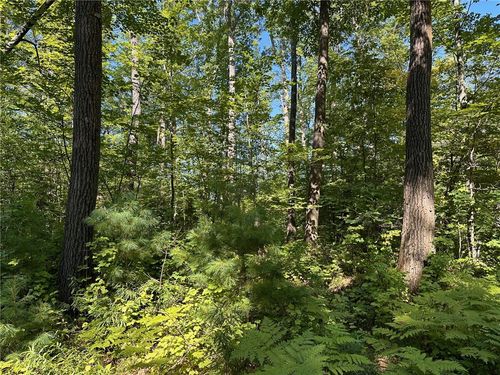 0 E Wilderness Ct, Solon Springs, WI, 54873 | Card Image