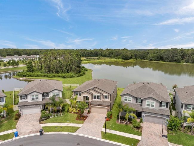 10845 Sundrift Dr, House other with 5 bedrooms, 4 bathrooms and null parking in TAMPA FL | Image 7