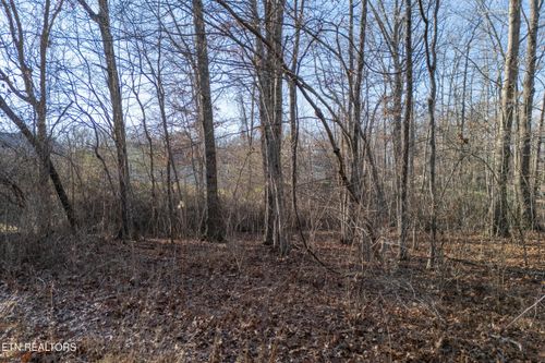 1736 Satsuma Dr, Crossville, TN, 38555 | Card Image