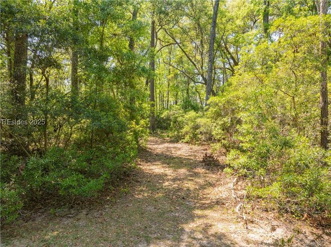 24 Sheldon Ln, Home with 0 bedrooms, 0 bathrooms and null parking in Seabrook SC | Image 19