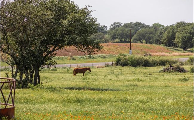 View of yard featuring a rural view | Image 37