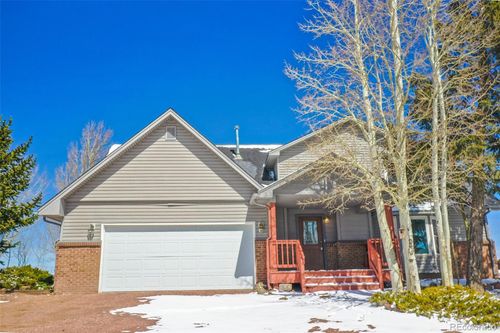 251 County Road 25, Divide, CO, 80814-8911 | Card Image