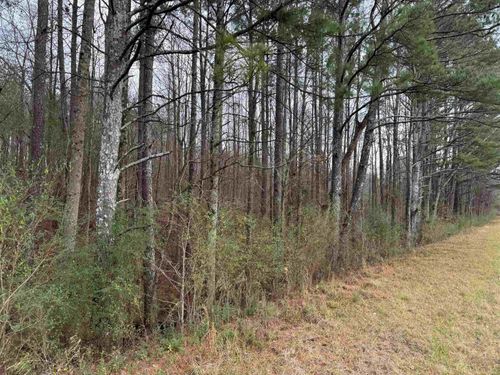 0 Hwy 157, Cullman, AL, 35057-CU | Card Image