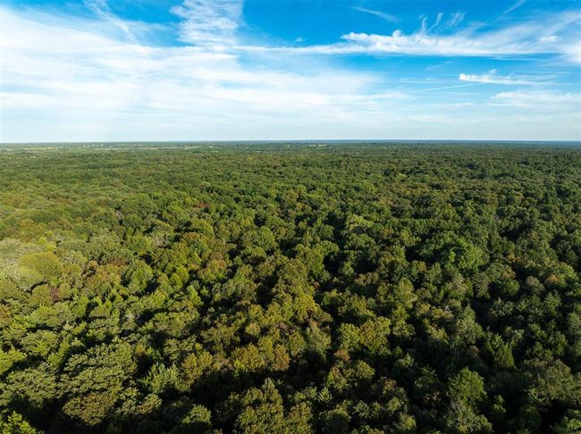Bird's eye view with a forest view | Image 27