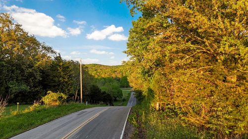Tbd N Farm Road 181, Fair Grove, MO, 65648 | Card Image