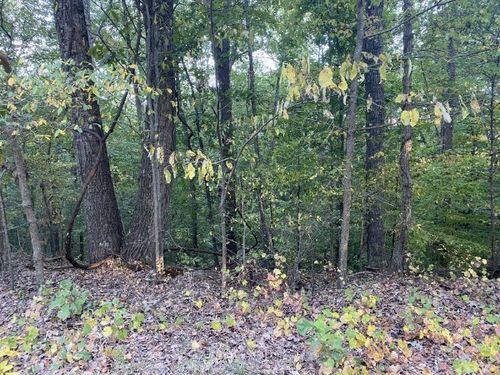 1241 Broadway Ave, New Johnsonville, TN, 37134-2164 | Card Image