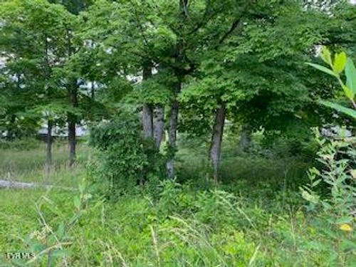 0047 Wild Rose Lane, Johnson City, TN, 37601 | Card Image