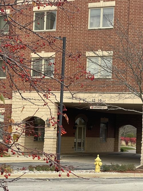 unit-109-1210 N Foxdale Dr, Addison, IL, 60101-5503 | Card Image