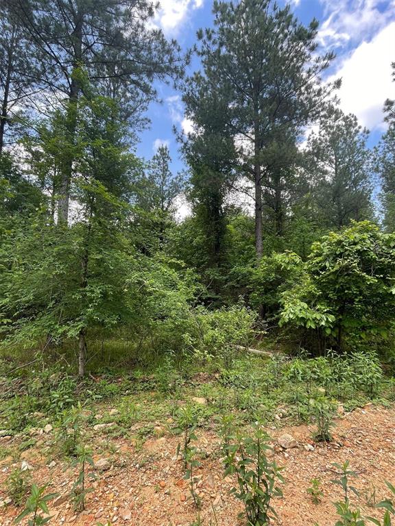 Land in Broken Bow