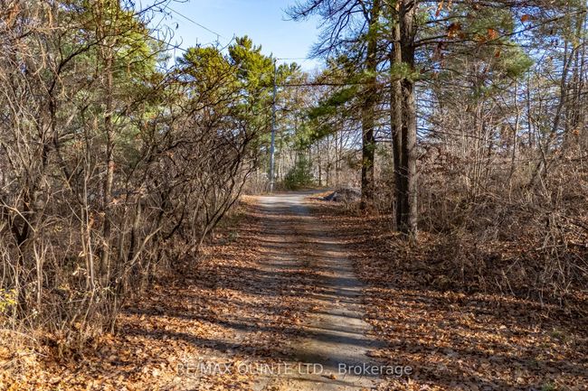 99 Kanata Lane, House other with 0 bedrooms, 1 bathrooms and 2 parking in Tweed ON | Image 41