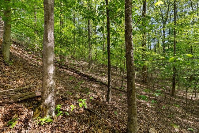 379 High Point Rd, Home with 0 bedrooms, 0 bathrooms and null parking in Moneta VA | Image 15