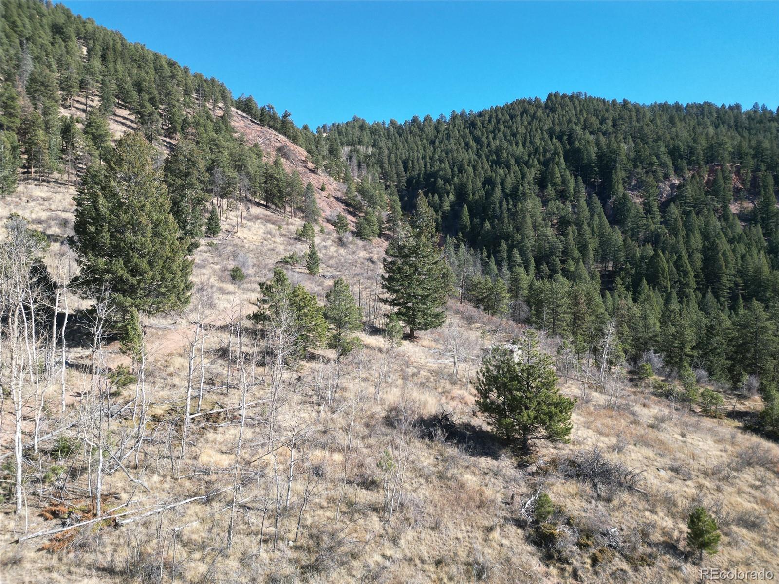 Land in Woodland Park 3