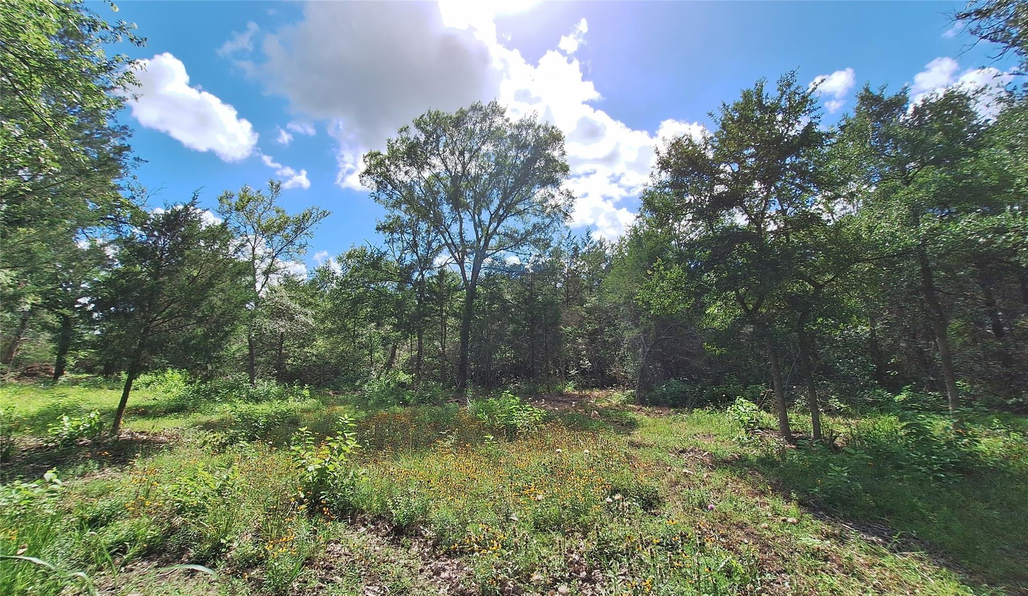 Land in Caldwell 5