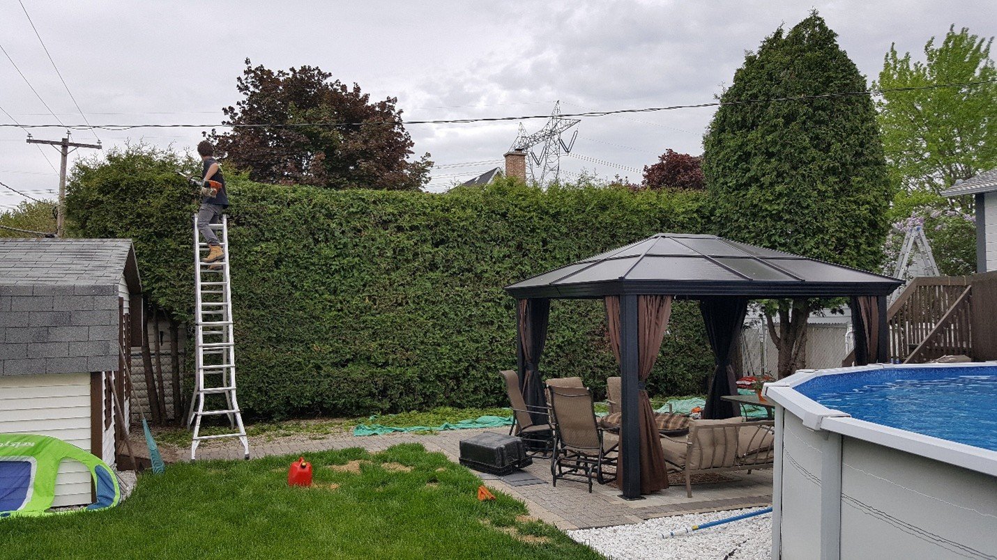 Commercial Sale in Laval (Sainte-Rose)
