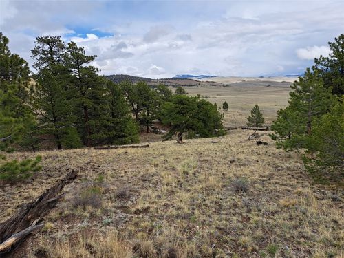 783 Remuda Trl, Hartsel, CO, 80449 | Card Image