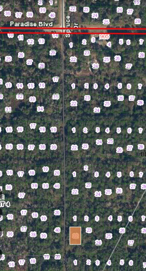 TBD Siesta Dr, Georgetown, FL, 32139 | Card Image