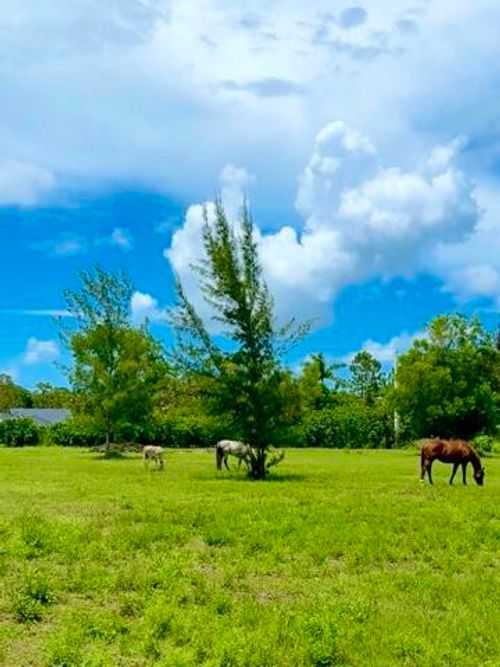 12398 Tangerine Blvd, West Palm Beach, FL, 33412-2040 | Card Image