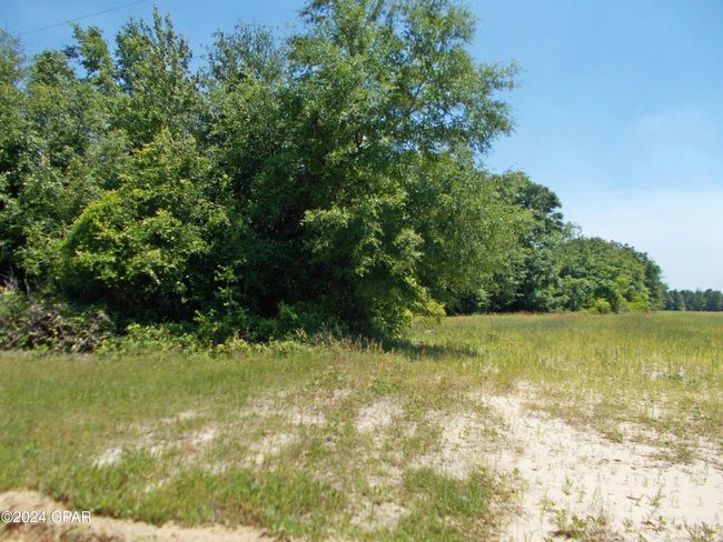 2 Ac Melon Lane, House other with 1 bedrooms, 1 bathrooms and null parking in Grand Ridge FL | Image 14