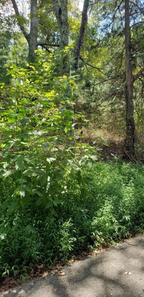 5 Treeline Dr, Dunlap, TN, 37327 | Card Image