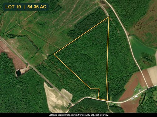 TBD Maplewild Rd., Nichols, SC, 29581 | Card Image