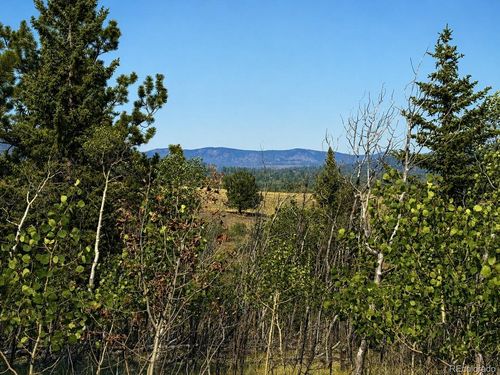 250 Pinto Trl, Como, CO, 80432-5001 | Card Image