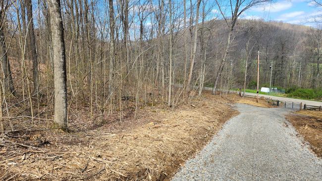 TRACT-2-PIKE-LAKE-GETAWA - 0 Pike Lake Rd, Home with 0 bedrooms, 0 bathrooms and null parking in Bainbridge OH | Image 7