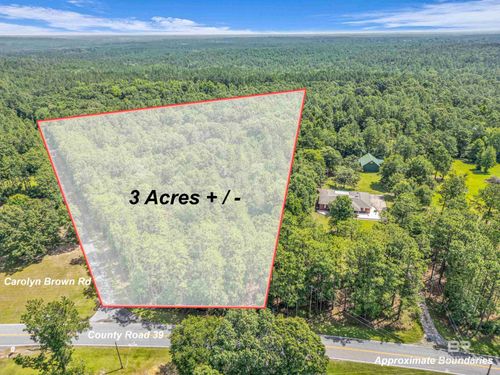 3 ACRES County Road 39, Stapleton, AL, 36578 | Card Image