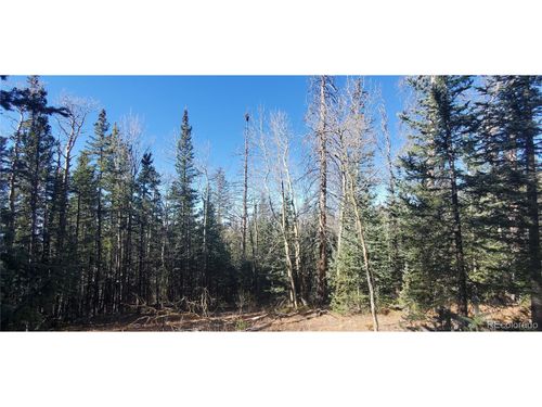 6581 Ackerman Rd, Fort Garland, CO, 81133 | Card Image